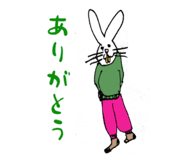 808815553