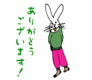 808815554