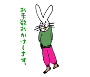 808815558