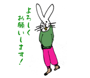808815564