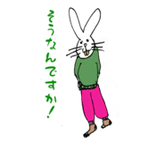 808815569