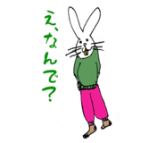 808815571