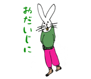 808815574