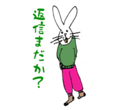 808815575