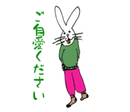 808815576