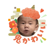 808816442