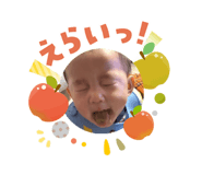 808816444