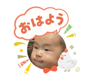 808816446