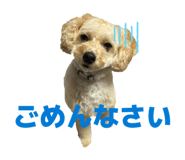 808816609