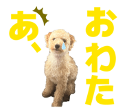 808816620