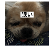 808816787