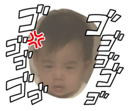 808820445