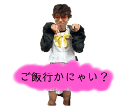 808822587