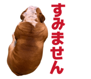 808831804