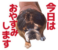 808831811
