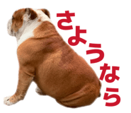 808831812