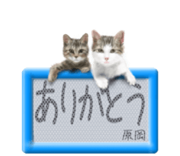 808837124