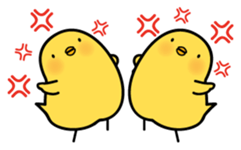 8088372
