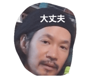 808847377
