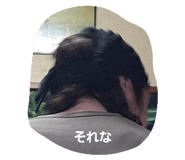 808847392