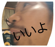 808847399