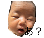 808848704