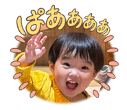 808855543