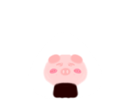 808855620