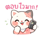 808856581