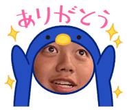 808861211