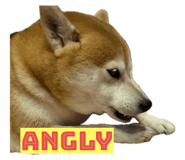 808861299
