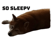 808861300