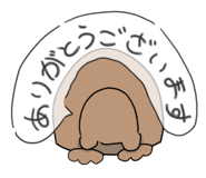 808867634