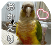 808868063