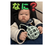 808873860