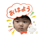 808880536
