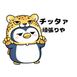 808882011