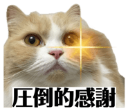 808889683