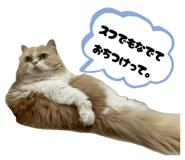 808889692