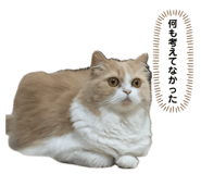 808889693