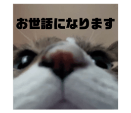808924082