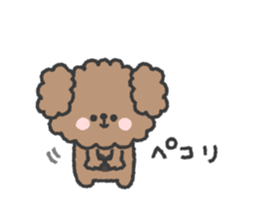 808930488