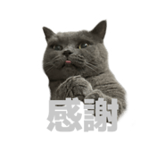 808941508
