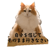 808950408