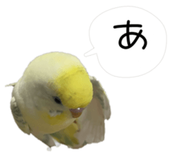 808975350