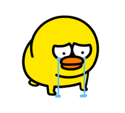 808976778