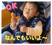 808977505