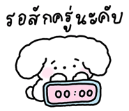809004234