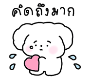 809004237