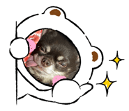809004925